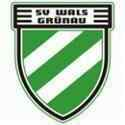 霍亨恩姆斯